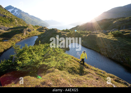 Alaska-Frau Wandern im alpinen Gelände über Prinz-William-Sund in der Nähe von Portage Pass auf klaren sonnigen Morgen Stockfoto