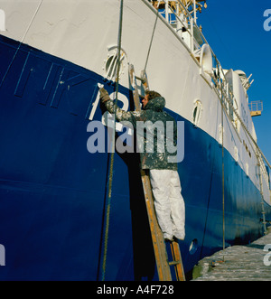 Menschen, die Arbeiten von einer Leiter, die Malerei der Kenn-Nummern auf dem Bug eines Schiffes, Grimsby, North Lincolnshire, England, UK. Stockfoto