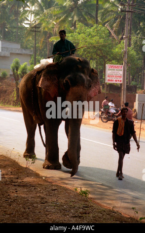 Elefant und Mahut auf dem Weg zur Arbeit in Kerala, Indien Stockfoto