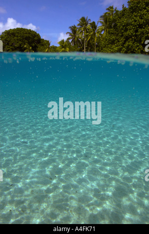 Über unter Bild sandigen Boden und Bäume auf Majikin Insel Namu Atoll Marshall-Inseln N Pazifik Stockfoto