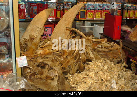 Getrocknete Haifischflossen zu verkaufen in der traditionellen chinesischen Medizin speichern Taipei Taiwan Republic Of China Stockfoto