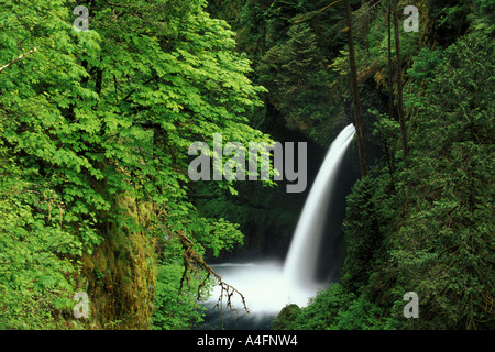 Metlako verliebt sich in den Columbia River Falls in Oregon Stockfoto