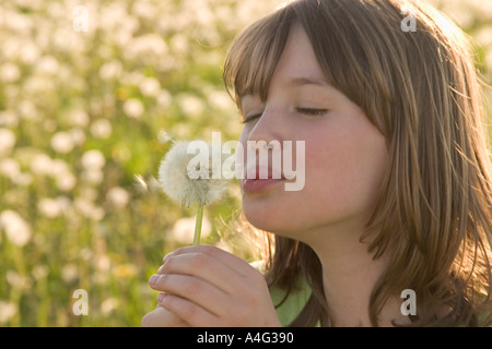 Herr 9 Jahres altes Mädchen bläst ein Löwenzahn Blüte Stockfoto