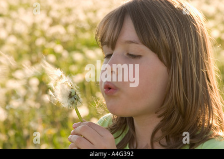 Herr 9 Jahres altes Mädchen bläst ein Löwenzahn Blüte Stockfoto