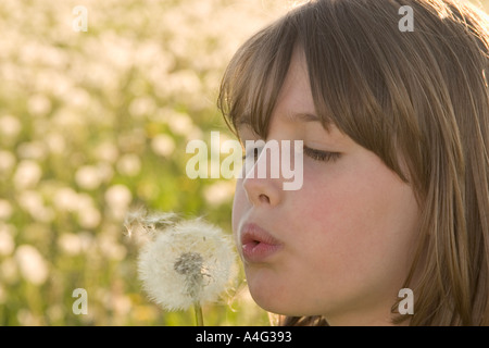 Herr 9 Jahres altes Mädchen bläst ein Löwenzahn Blüte Stockfoto