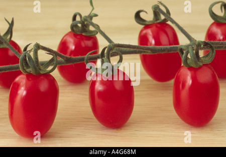 Solanum lycopersicum syn Lycopersicon esculentum 'Santa' (Tomate) Truss von kleinen länglichen roten Tomaten auf der Rebe. Stockfoto
