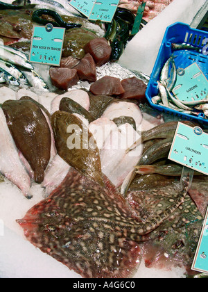 Nassen Fisch auf Platte in französischen Supermarkt Stockfoto