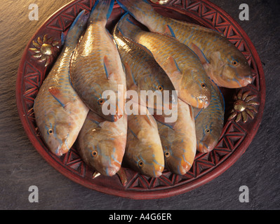 Fisch - Fang Stockfoto