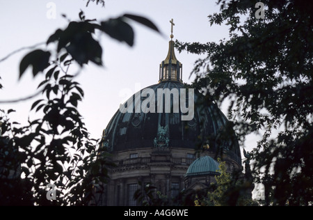 Blick auf den Berliner Dom im Morgengrauen durch Pflanzen Stockfoto