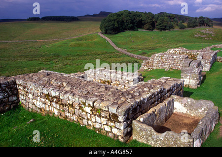 Housesteads roman Fort Hadrian s Wall Northumberland, England, Großbritannien Stockfoto