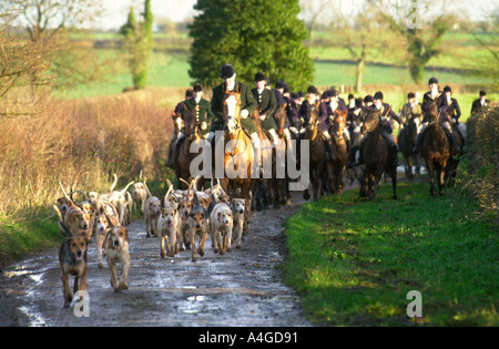 JOINT MASTER OF BEAUFORT JAGD KAPITÄN IAN FARQUHAR FÜHRT REITER MIT DER BEAUFORT-JAGD IN GLOUCESTERSHIRE UK Stockfoto