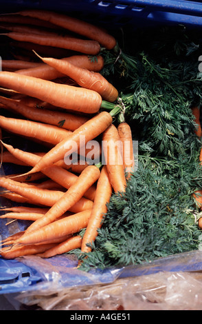 Karotten im Farmers Market Green Park Bad Spa, Somerset, England UK Stockfoto