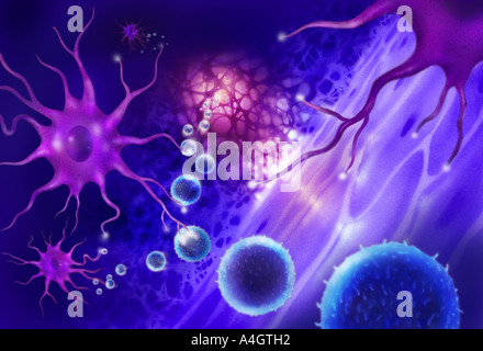 Zur Veranschaulichung der dendritischen Zellen (lila), wichtige Komponenten des Immunsystems Stockfoto