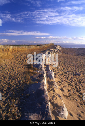 Deich in der Nähe von Rest Bay Porthcawl Bridgend County South Wales UK Stockfoto