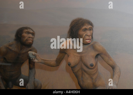 Turkana Boy Homo Ergaster Lake Turkana Kenia 1 6 Millionen Jahren Skelett bietet die umfassendsten Beweise der menschlichen ev Stockfoto