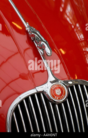 Abbildung und Emblem auf der Motorhaube eines Jaguar XK 150 von 1957 Stockfoto