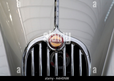 Emblem eines Jaguar XK 140 von 1954 Stockfoto