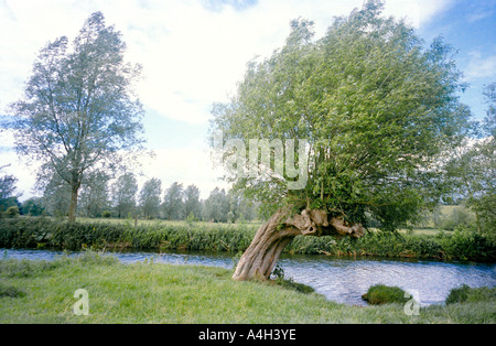 Eine malerische Aussicht auf den Fluss Stour in Dedham Vale, England. Stockfoto