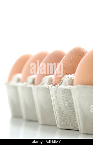 Eiern in einem Karton vor einem weißen Hintergrund Stockfoto