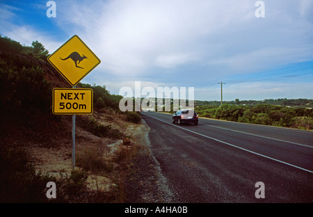 Känguru Warnzeichen entlang der Great Ocean Road, in der Nähe von Aireys Inlet, erhöht Victoria, Australien Gefahr in der Abenddämmerung für Roo hits Stockfoto