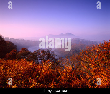 Herbstmorgen, Tweed Valley aus ganz Hill, Scottish Borders Stockfoto