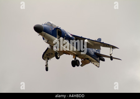 Royal Navy Sea Harrier der Royal International Air Tattoo 2004 Stockfoto