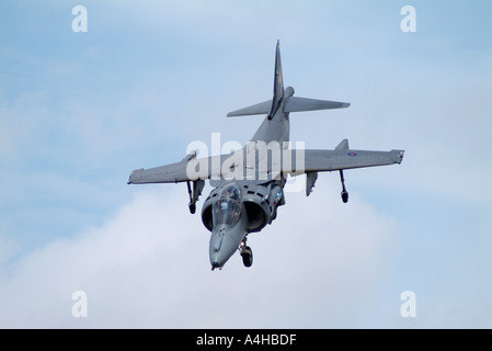 Königliche Luftwaffe Bae Harrier GR7 schweben auf der IAT Stockfoto