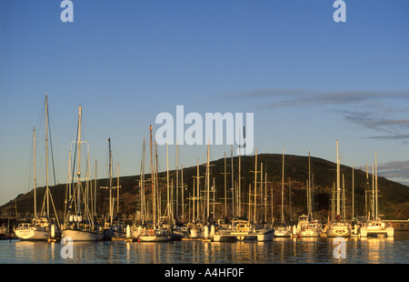 Festgemachten Boote in der Marina bei Sonnenuntergang, Coffs Harbour, New South Wales, Australien. Muttonbird Inseln ist im Hintergrund. Stockfoto