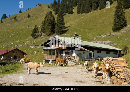 Auf dem Weg zum Fockenstein zwischen Tegernsee und Isar-Bayern-Deutschland bei der Neuhütten Stockfoto