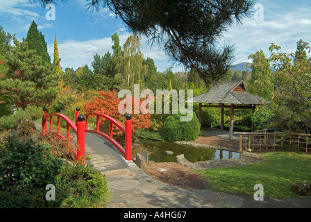 Japanischer Garten in den Royal Botanical Gardens in Hobart Tasmanien Stockfoto