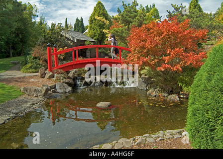 Japanischer Garten in den Royal Botanical Gardens in Hobart Tasmanien Stockfoto