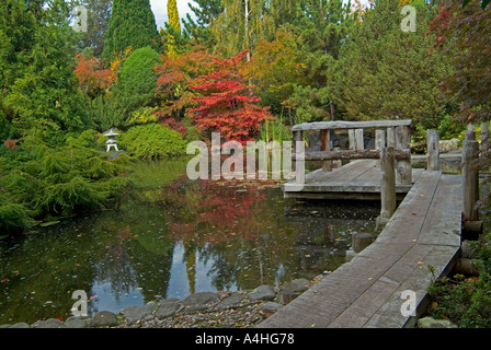 Japanischer Garten in den Royal Botanical Gardens in Hobart Tasmanien Stockfoto