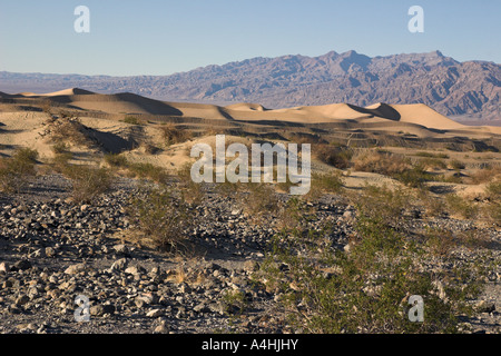 Mesquite Sanddünen im Death Valley Nationalpark, Kalifornien, USA Stockfoto