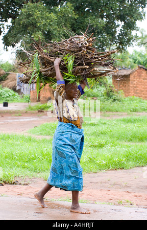 Frau mit Brennholz feuchte Regenzeit in Khoswe Malawi Afrika Stockfoto