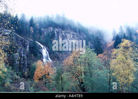 A gemischte Laub- und Nadelbäume Wald und Wasserfall im Herbst, Fraser Valley, BC, Britisch-Kolumbien, Kanada Stockfoto