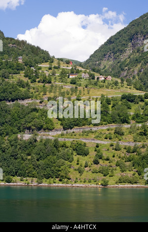 11 Haarnadelkurven auf der Rv63 Straße bis zum Ufer des Geirangerfjorden Geiranger Norwegen Stockfoto