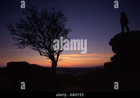 Tor in der Abenddämmerung auf Dartmoor Devon county England UK Sattel Stockfoto
