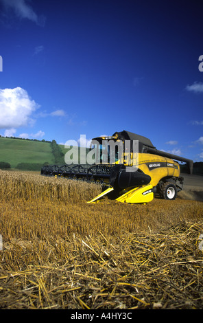 Kombination von Weizen im Norden Dorset England UK nach einer langen Periode der nassen Wetter im Jahr 2004 Stockfoto