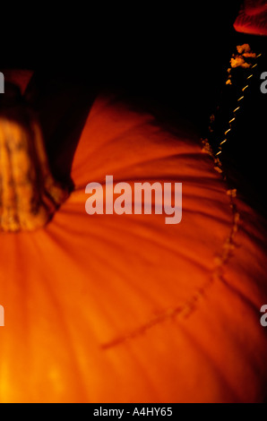 Oben auf einem Kürbis schnitzen für halloween Stockfoto