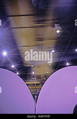 Papierrollen in Papierfabrik Stockfoto