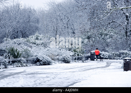 Frau Jogger und Hund [2] Regents Park, London, UK Stockfoto