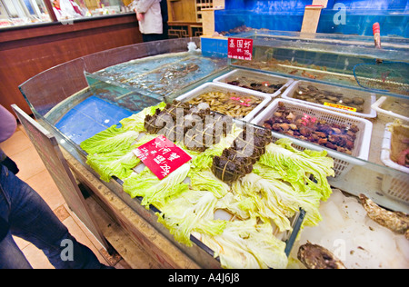 CHINA Peking Fischrestaurant in Peking, wo Sie lebende Meeresfrüchte aus Tanks auf dem Display auswählen Stockfoto