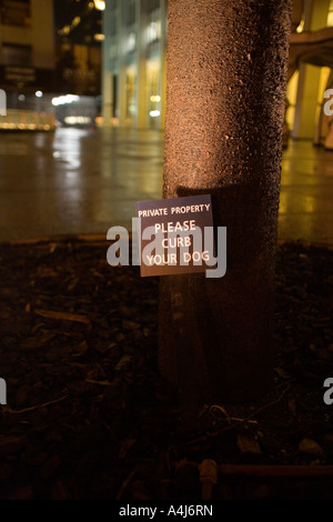 Bitte zügeln Sie Ihr Hund Zeichen in der Nacht in Manhattan. Stockfoto