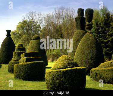 De - Rutland: clipsham Eibe Avenue Stockfoto