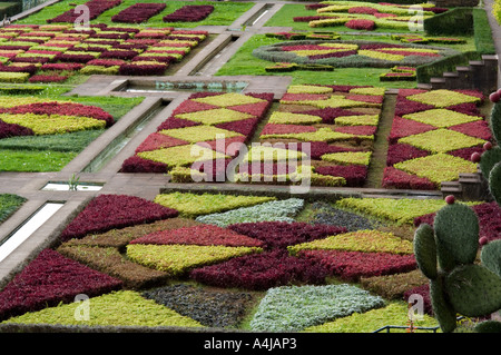 Teppich Bettwäsche im Botanischen Garten, Funchal, Madeira, Portugal, Europa Stockfoto