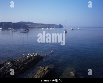 Mit Blick auf Carricknath Punkt über den Fluss Percuil aus St Mawes Cornwall England Stockfoto