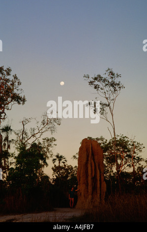 Frau stand neben einer riesigen Termite Hügel Litchfield National Park Australien Stockfoto