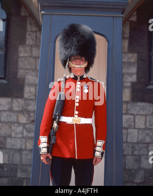 Königliche Garde, Schloss Windsor, Windsor, England, Vereinigtes Königreich Stockfoto