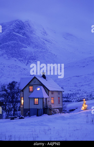 Isoliertes Haus in Winter Dämmerung auf Lofoten im Norden Norwegens mit kleinen Weihnachtsbaum funkeln außerhalb Stockfoto