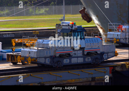 Panama-Kanal Mule, Republik Panama, Mittelamerika Stockfoto